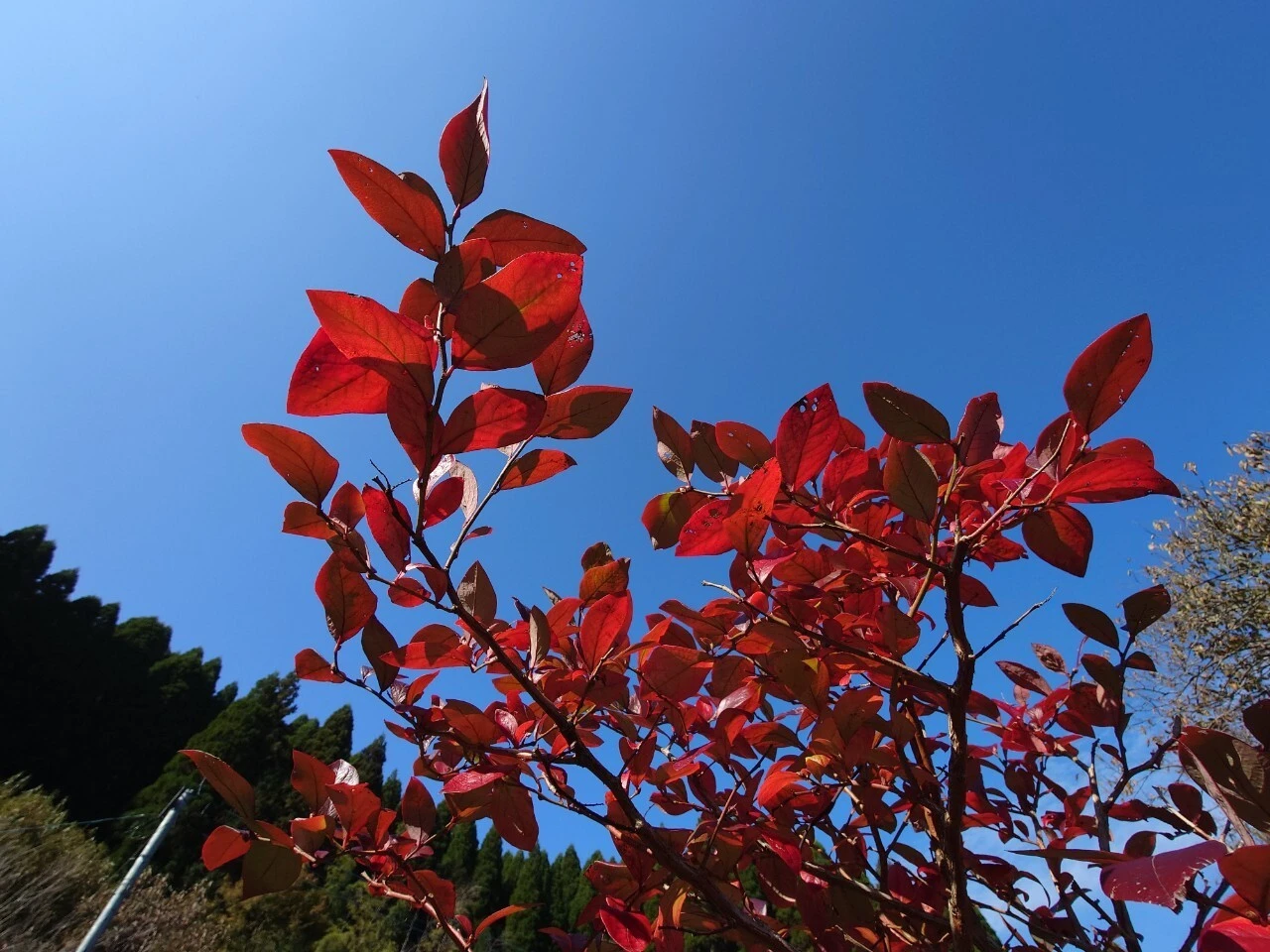 AdobeStock_289830561