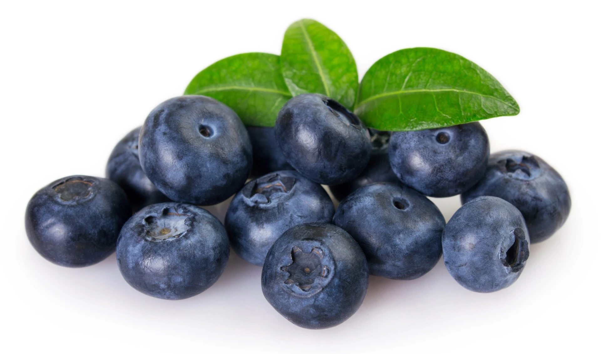 AdobeStock_269862942