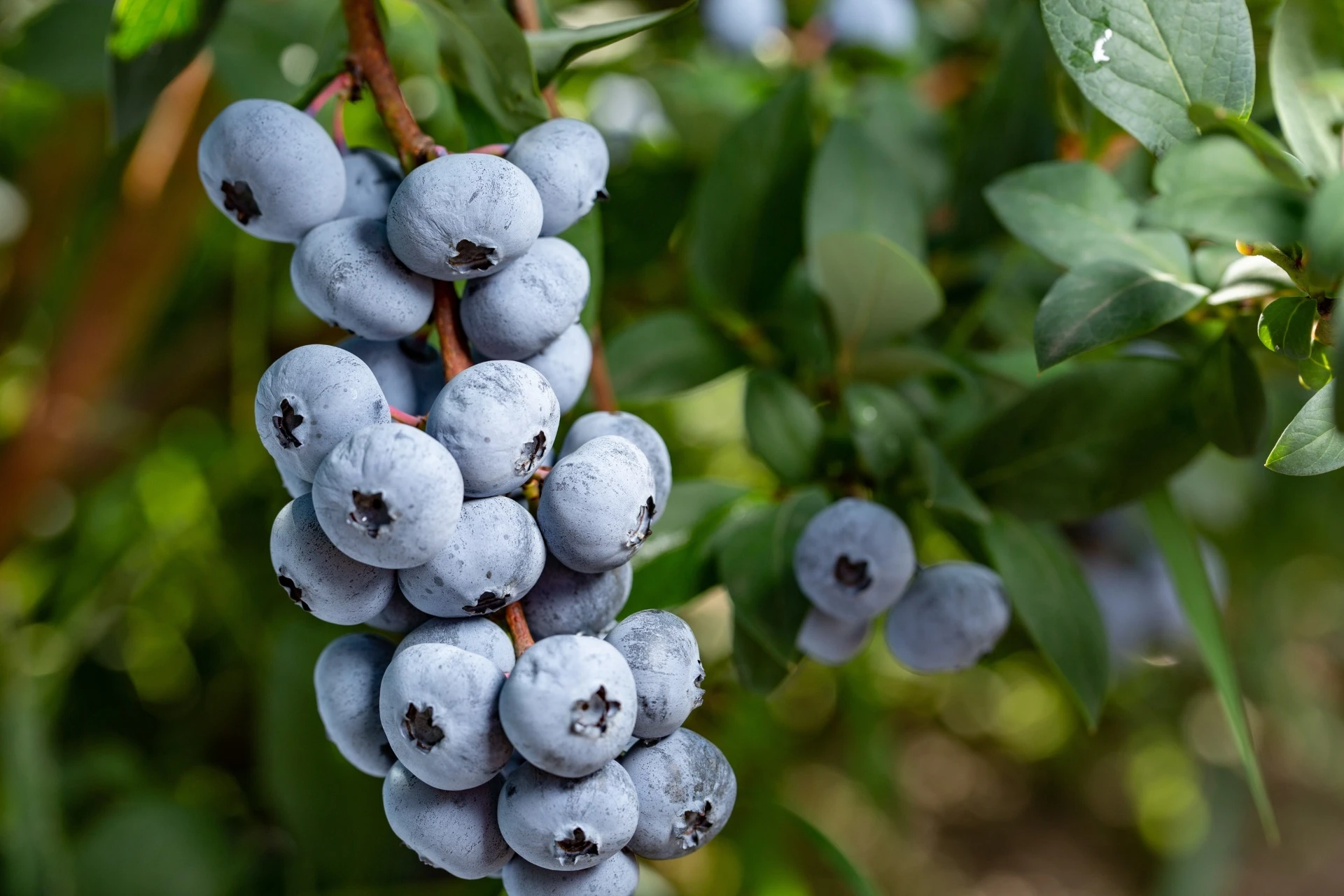 AdobeStock_217754055